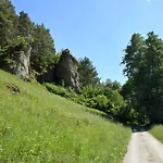Отель Zum Loewen Фельбург