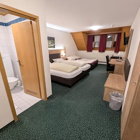 Zum Loewen Hotel