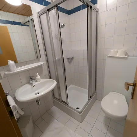 Hotel Zum Loewen 2*